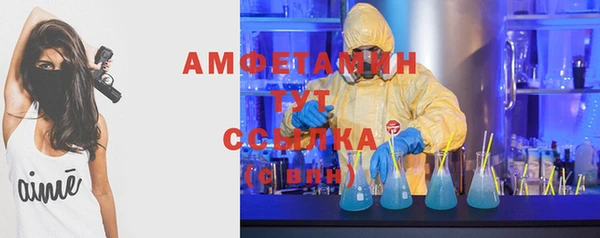хмурый Алзамай