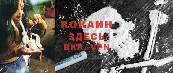 хмурый Алзамай