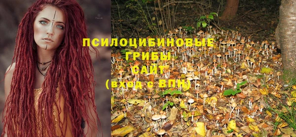 хмурый Алзамай