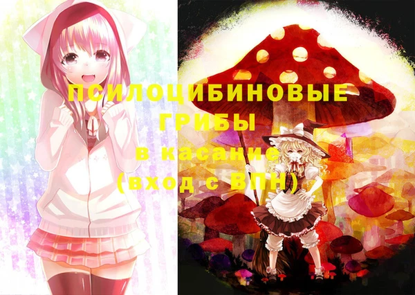 круглые Алексин