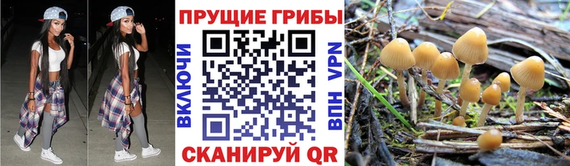 Галлюциногенные грибы ЛСД купить наркотики цена Добрянка